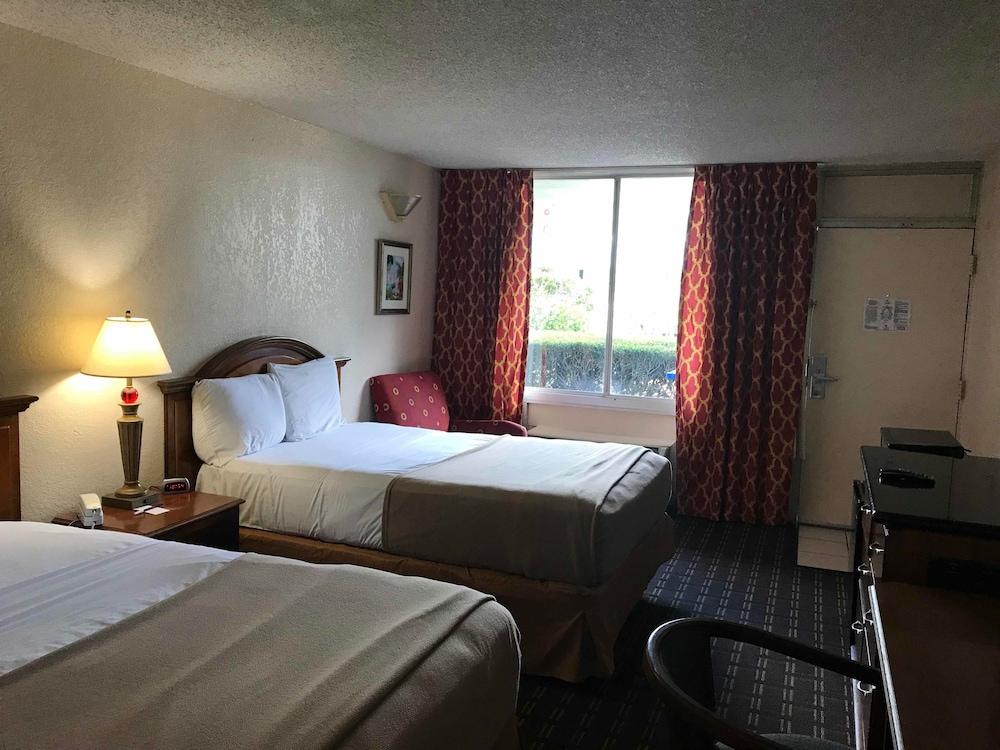 Quality Inn Tampa Lake Magdalene エクステリア 写真
